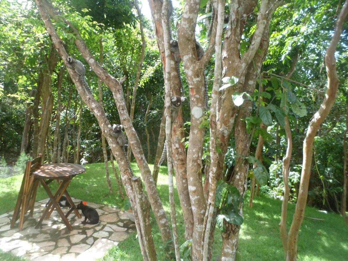 Casa Hermosa II Praia de Pipa Eksteriør billede